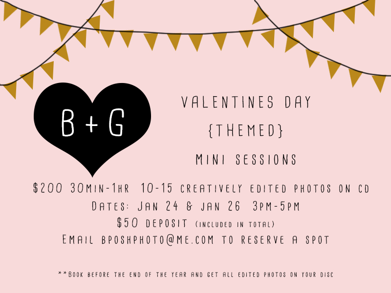 2014Vdayminis