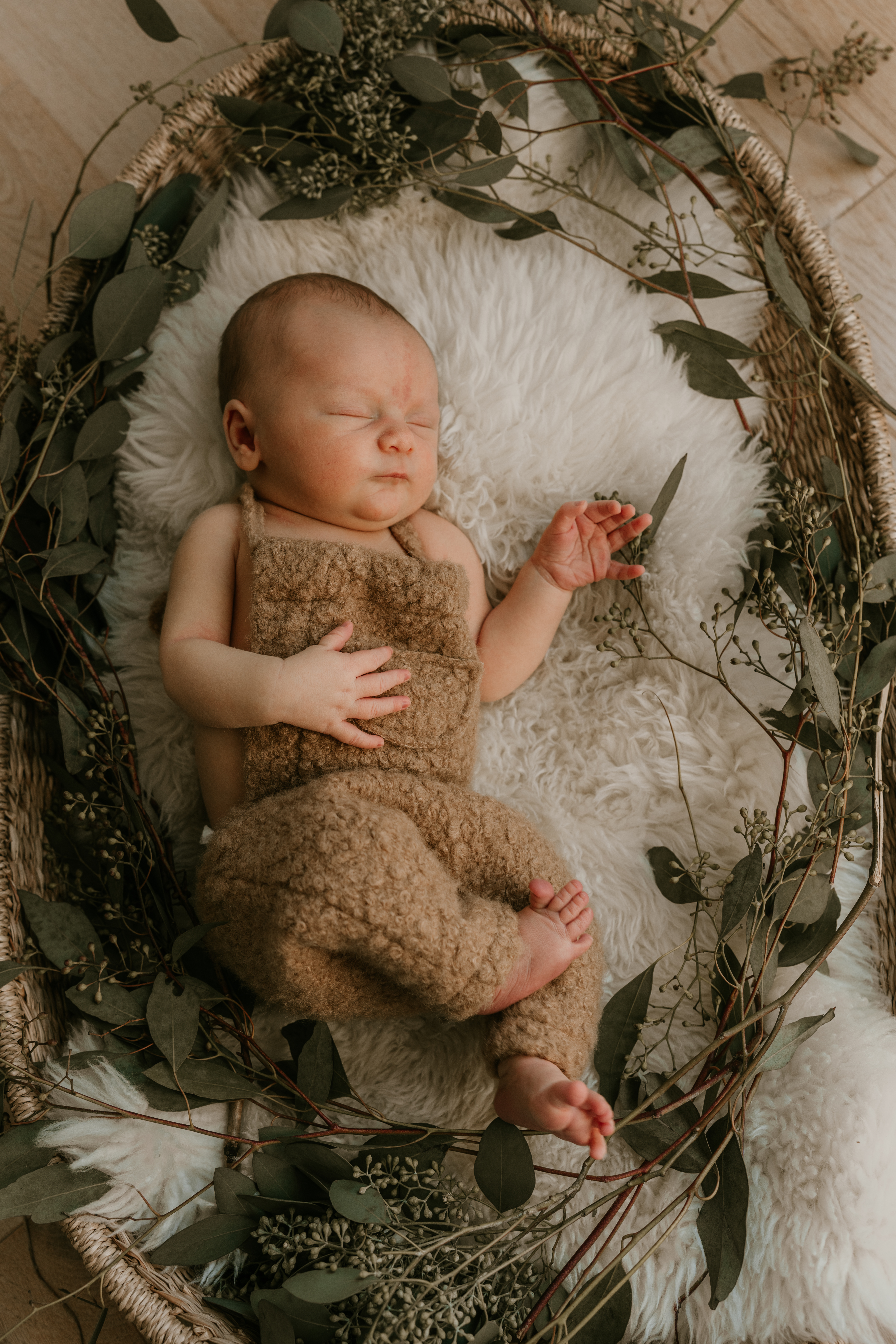 Newborn baby sleeping in a basket surrounded by eucalyptus on soft white fur