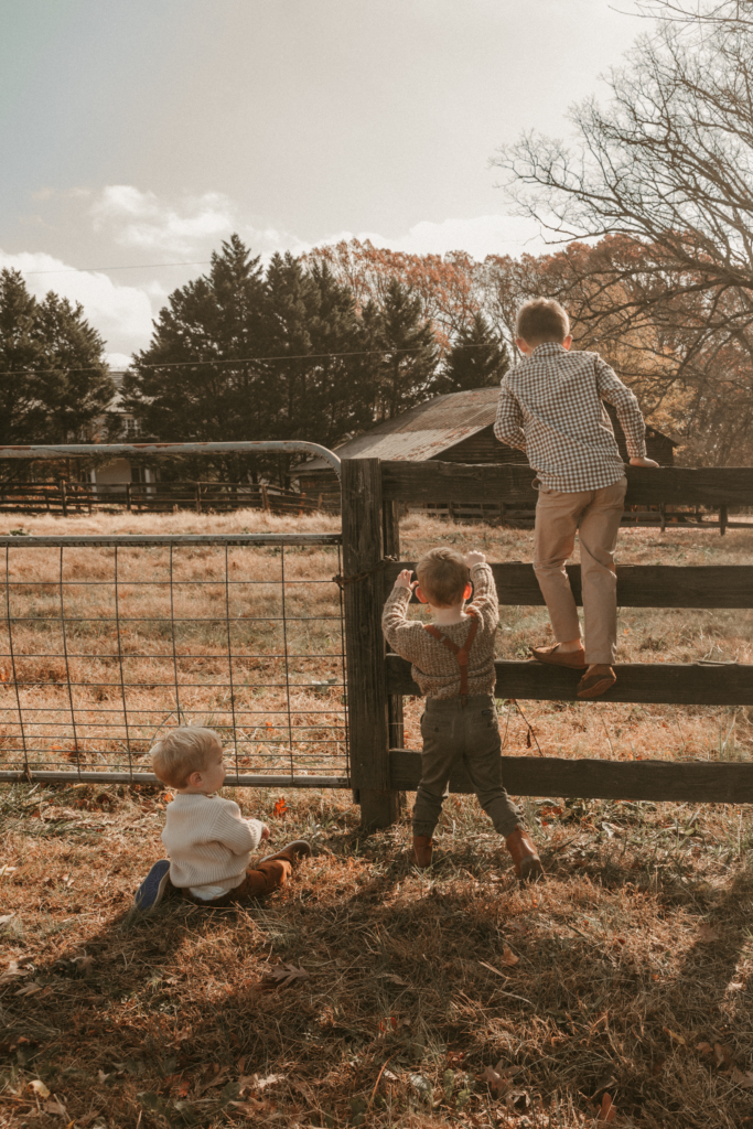 Three young boys climbing and sitting by a wooden fence during a fall family photo session on a farm
